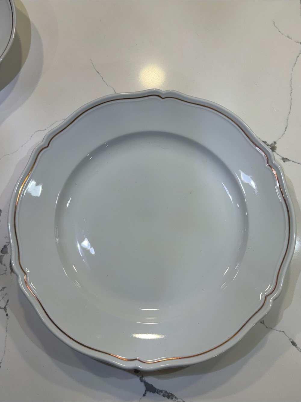 Richard Ginori White Porcelain Dinner Plate with Gold Trim